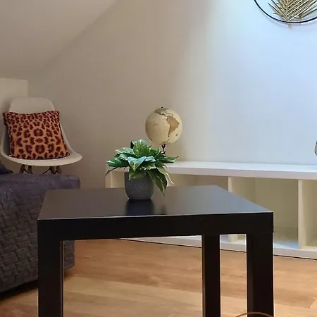 Zen- Hyper Centre Apartament